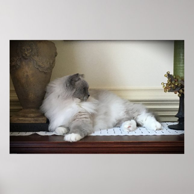 Póster Días lentos, (Frente)