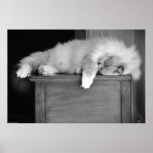 Póster Días lentos,