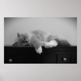 Póster Días lentos,