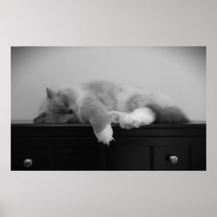 Póster Días lentos,