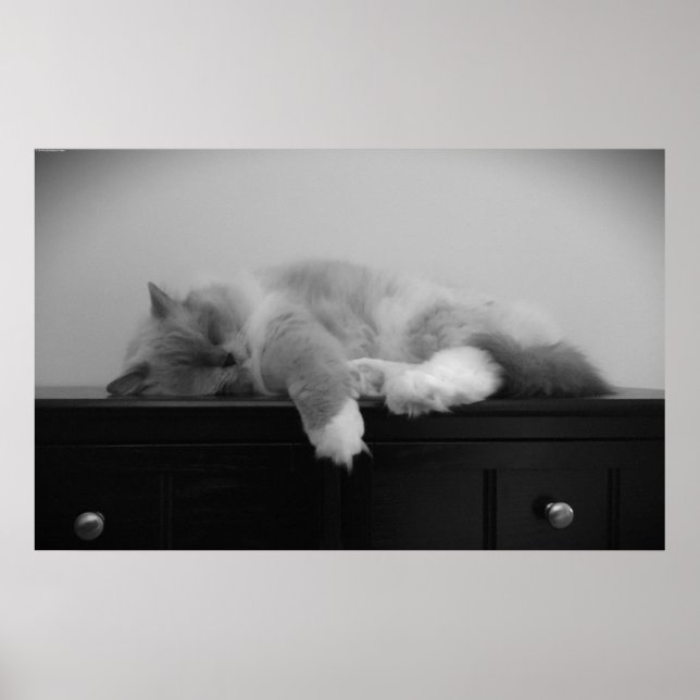 Póster Días lentos, (Frente)