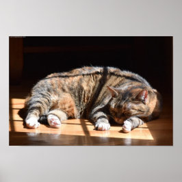 Póster Días lentos,