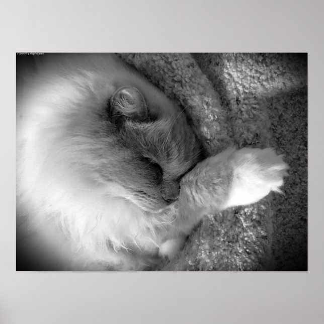 Póster Días lentos, (Frente)