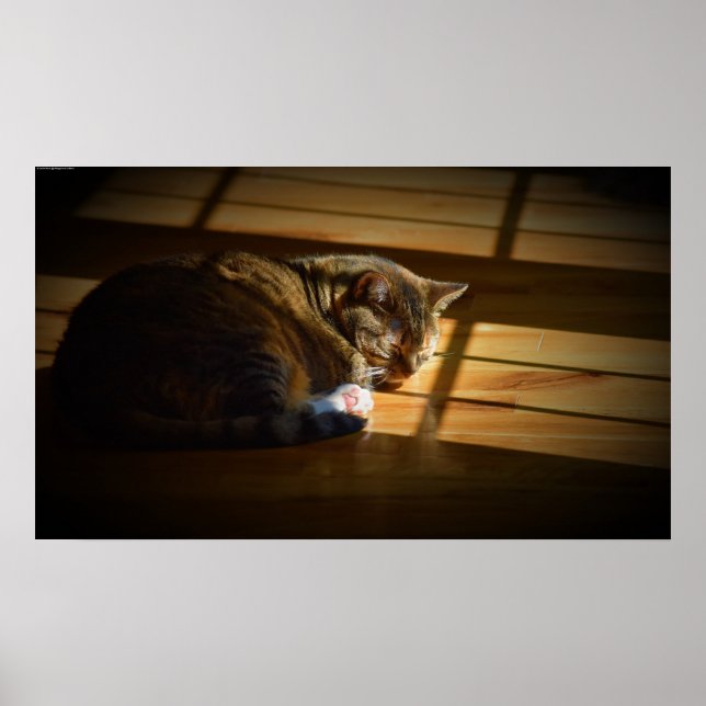 Póster Días lentos, (Frente)