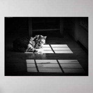 Póster Días lentos,