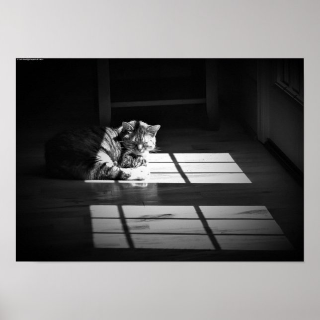 Póster Días lentos, (Frente)