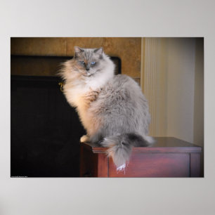 Póster Días lentos,