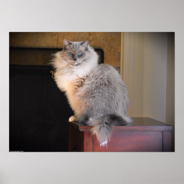 Póster Días lentos, (Frente)