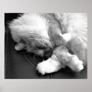 Póster Días lentos,