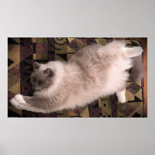 Póster Días lentos,