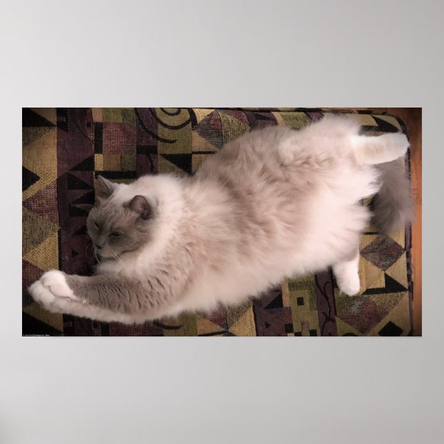 Póster Días lentos, (Frente)