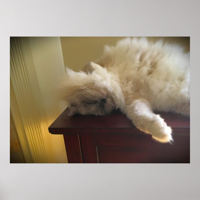 Póster Días lentos, (Frente)