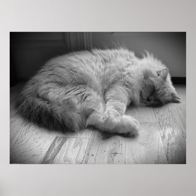 Póster Días lentos, (Frente)