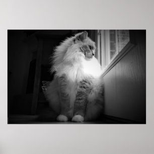 Póster Días lentos,