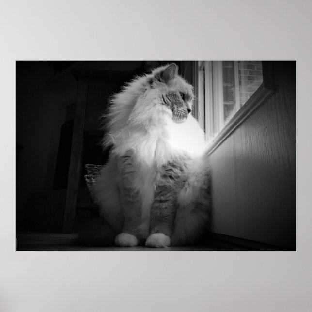 Póster Días lentos, (Frente)