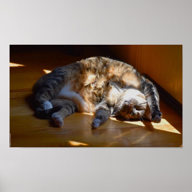 Póster Días lentos, (Frente)