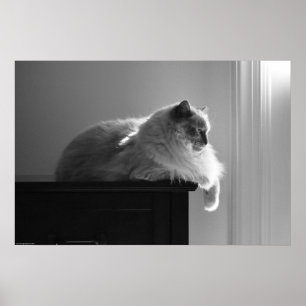 Póster Días lentos,