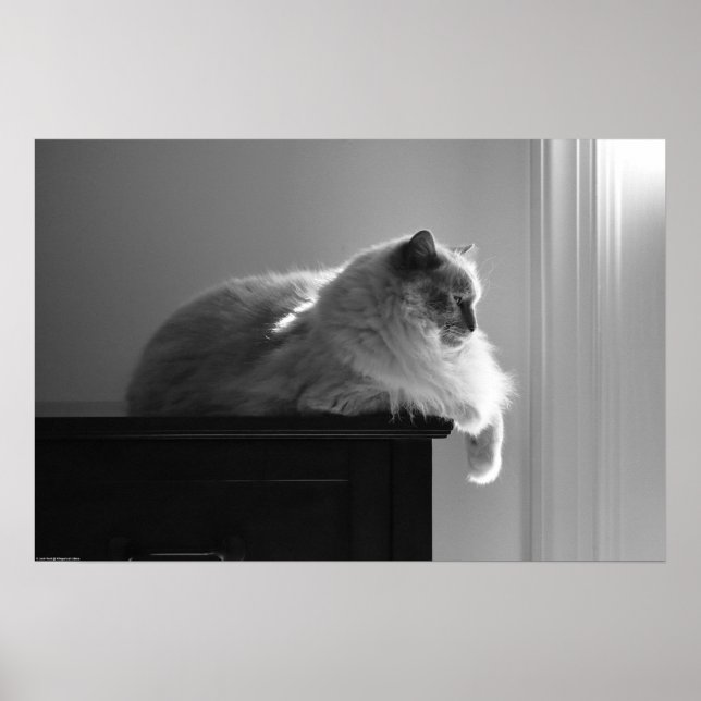 Póster Días lentos, (Frente)