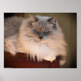 Póster Días lentos,