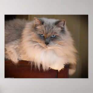 Póster Días lentos,