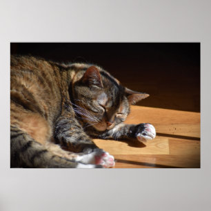 Póster Días lentos,