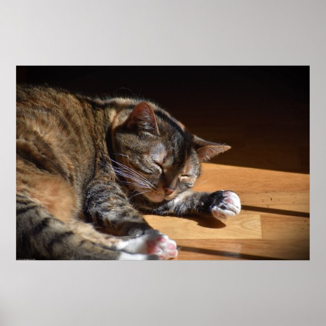 Póster Días lentos, (Frente)