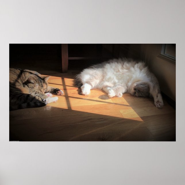 Póster Días lentos, (Frente)