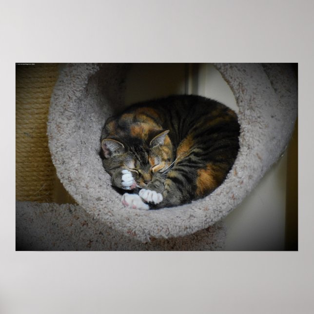 Póster Días lentos, (Frente)