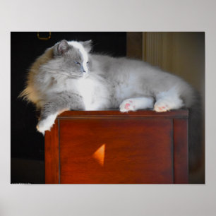 Póster Días lentos,