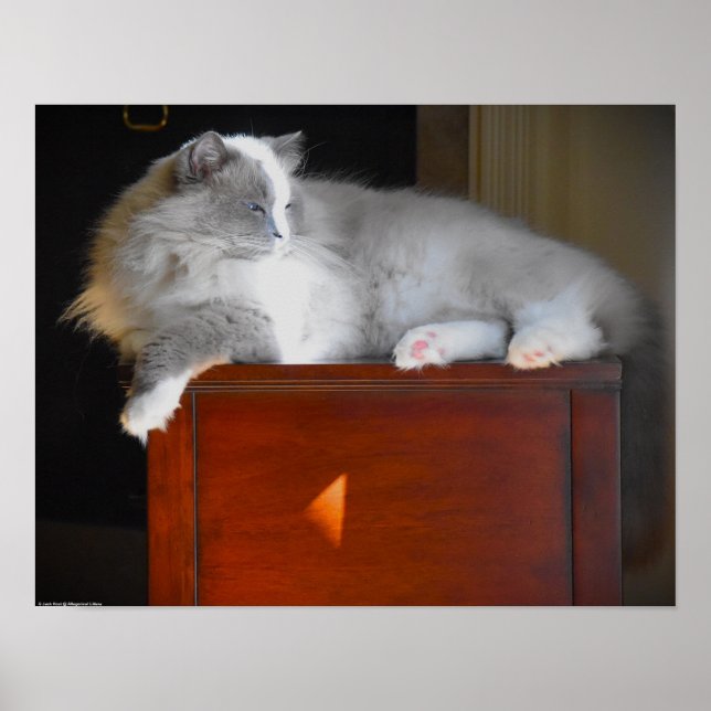 Póster Días lentos, (Frente)