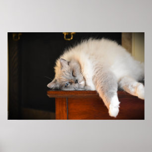 Póster Días lentos,