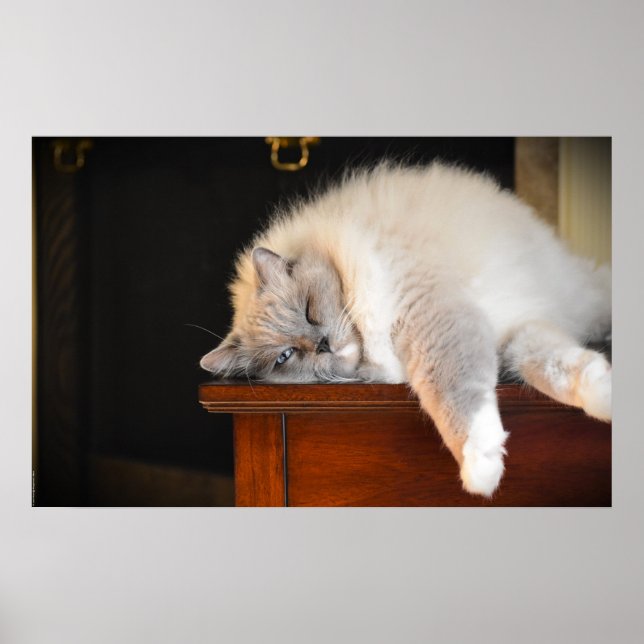 Póster Días lentos, (Frente)