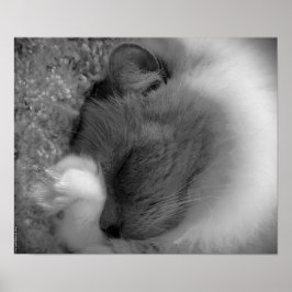 Póster Días lentos,