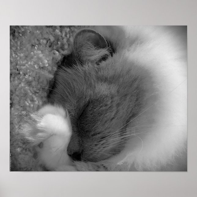 Póster Días lentos, (Frente)