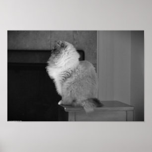 Póster Días lentos,