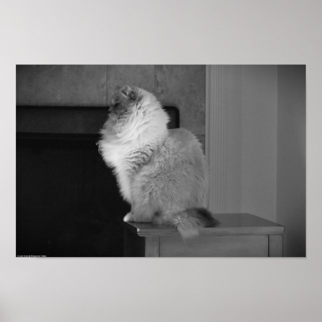 Póster Días lentos, (Frente)