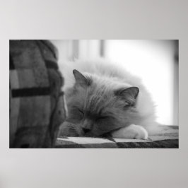 Póster Días lentos,