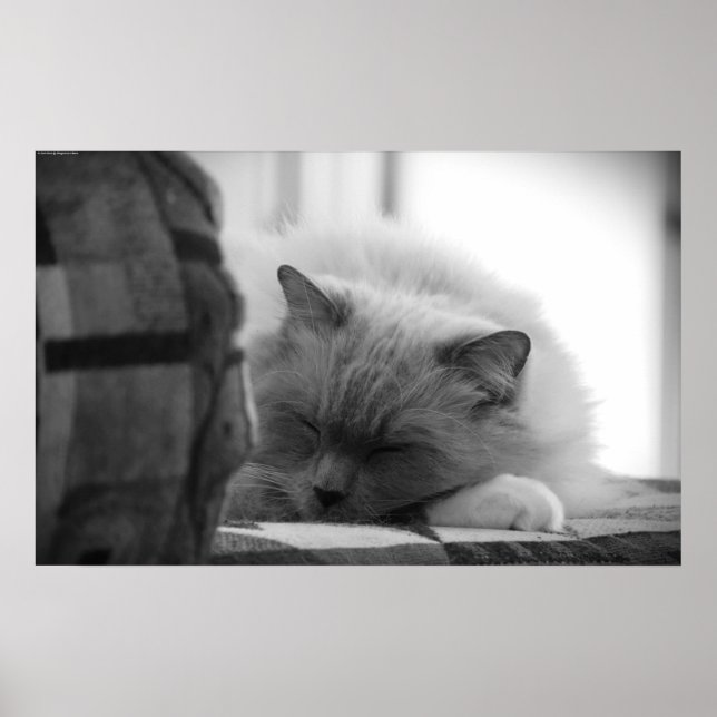 Póster Días lentos, (Frente)