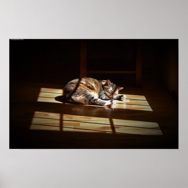 Póster Días lentos, (Frente)