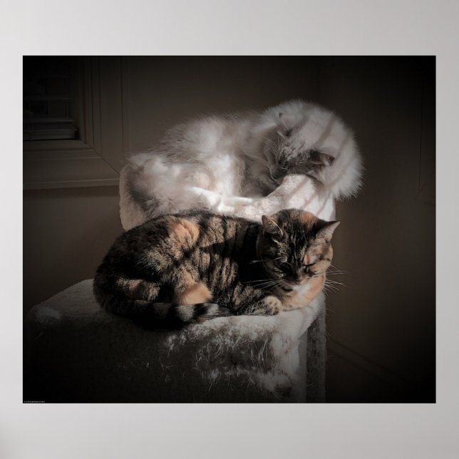 Póster Días lentos, (Frente)