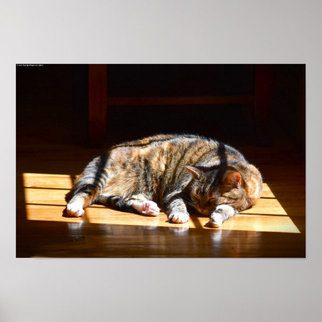 Póster Días lentos, (Frente)