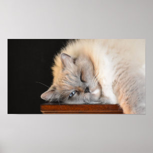 Póster Días lentos,