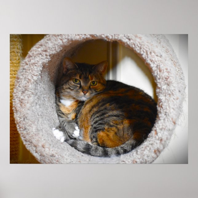 Póster Días lentos, (Frente)