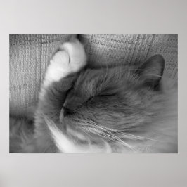 Póster Días lentos,