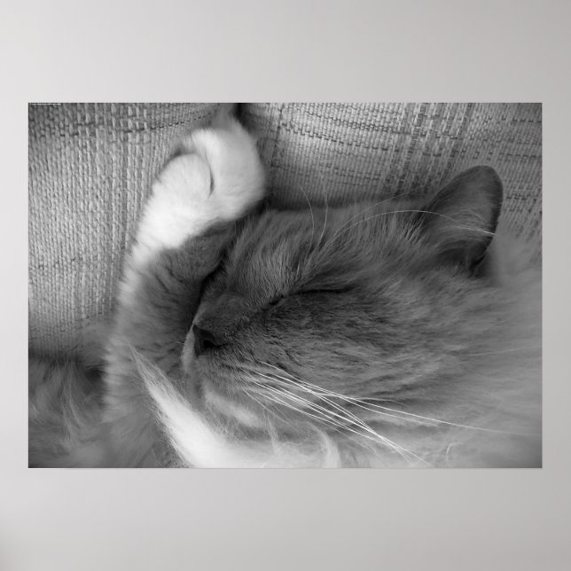 Póster Días lentos, (Frente)