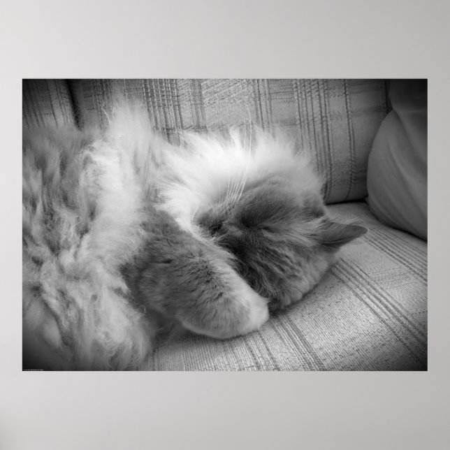 Póster Días lentos, (Frente)