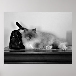 Póster Días lentos,