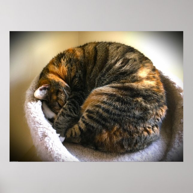 Póster Días lentos, (Frente)