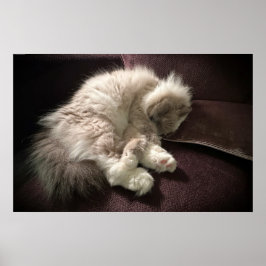 Póster Días lentos,