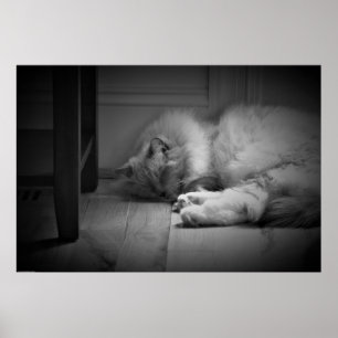 Póster Días lentos,